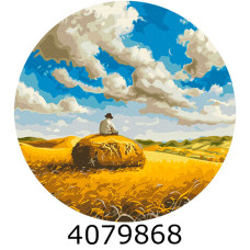 Картина по номерам d40см 