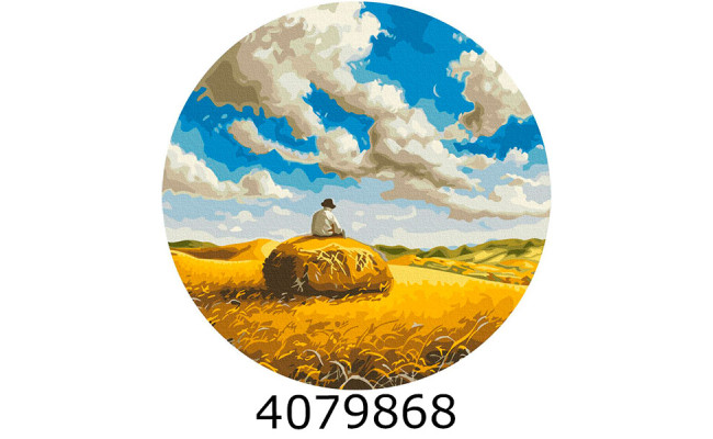 Картина по номерам d40см 