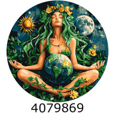 Картина по номерам d40см 