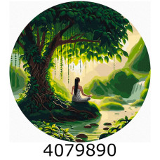 Картина по номерам d40см 