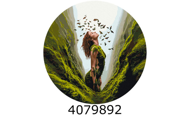 Картина по номерам d40см 