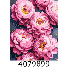 Картина по номерам 40*50см 