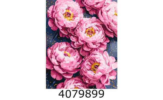 Картина по номерам 40*50см 