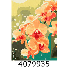 Картина по номерам 30*40см 