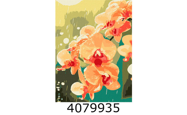 Картина по номерам 30*40см 