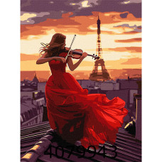 Картина по номерам 30*40см 