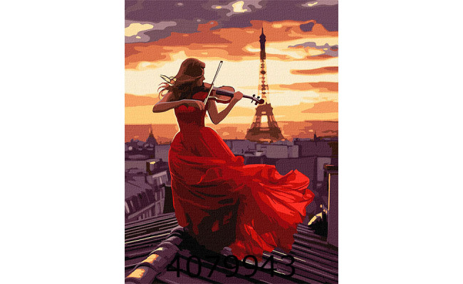 Картина по номерам 30*40см 