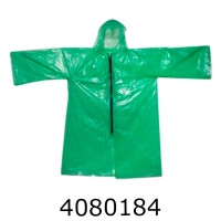 Дощовик на блискавці (100)