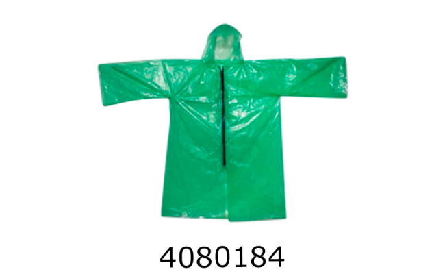 Дощовик на блискавці (100)