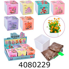 Набір для дит. творч. Вирощування рослин (горщикгрунтнасіння) (6/24) X2024-052