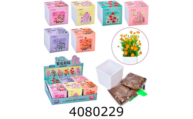 Набір для дит. творч. Вирощування рослин (горщикгрунтнасіння) (6/24) X2024-052