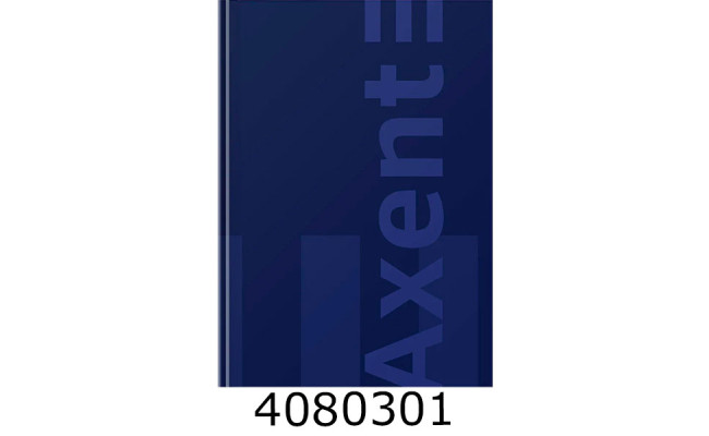 Канц. книга 96 арк. кл. газ. AXENT 