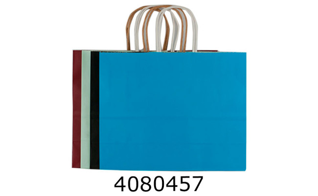 Пакет подарунковий 25*32 см (12/480) 137298