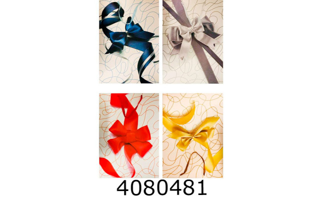 Пакет подарунковий 43*55см (12) 665-3