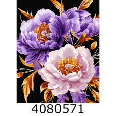 Картина по номерам 40*50см 