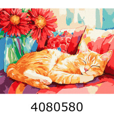 Картина по номерам 30*40см