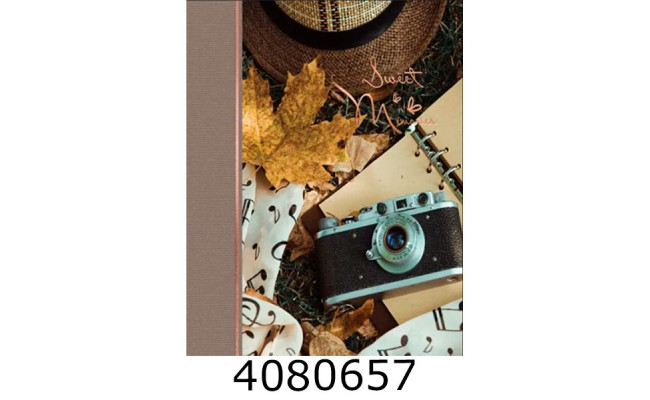 Ф/а 200ф. PP-46200 Autumn Camera (фотокамера осінь)(24) 35791