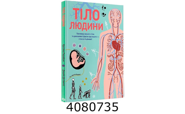 Тіло людини Z104027У