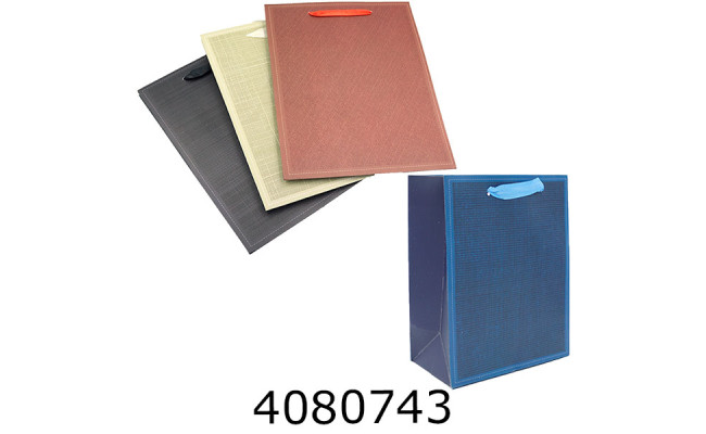 Пакет подарунковий 23*18*10 