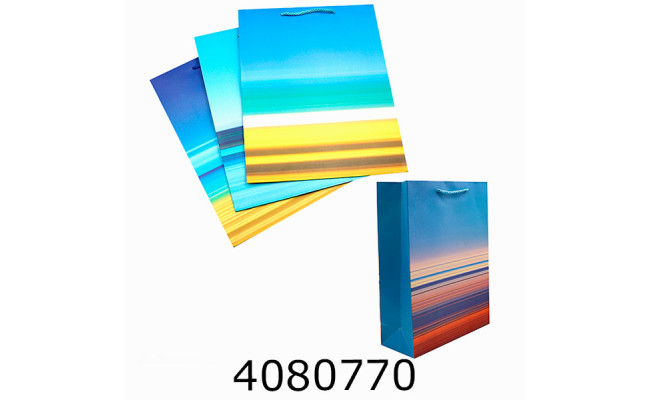 Пакет подарунковий 26*32*10 