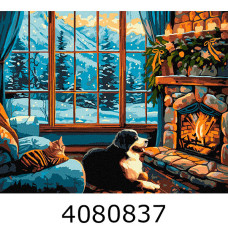 Картина по номерам 40*50см 