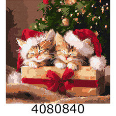 Картина по номерам 40*40см 