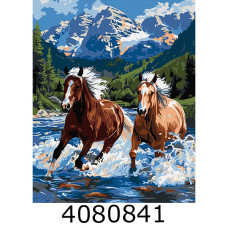 Картина по номерам 40*50см 