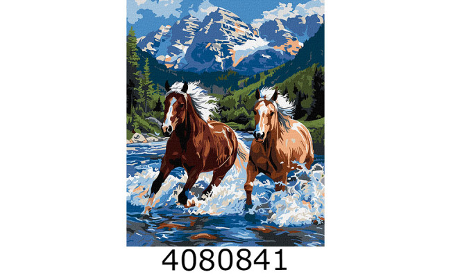 Картина по номерам 40*50см 