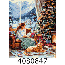 Картина по номерам 40*50см 