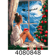 Картина по номерам 40*50см 