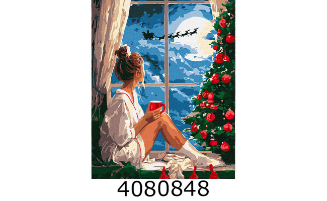 Картина по номерам 40*50см 