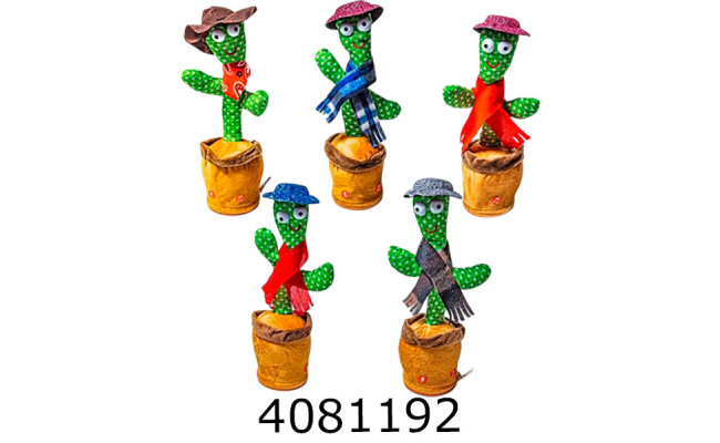 Танцюючий кактус укр. (20)