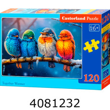 Пазли 120 ел. midi Castorland 