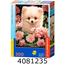 Пазли 300 ел. Castorland 