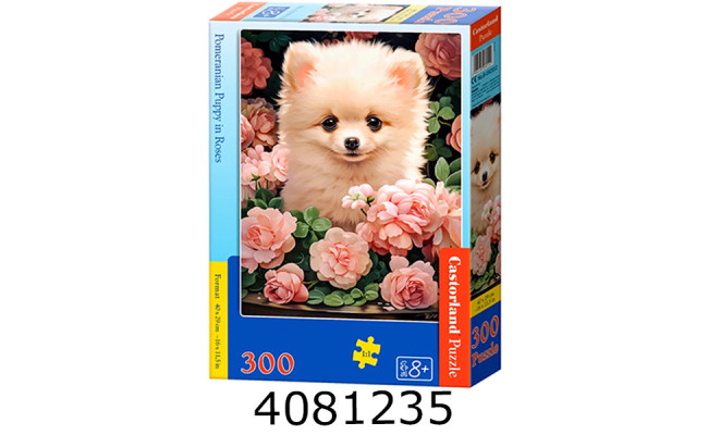 Пазли 300 ел. Castorland 