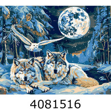 Картина по номерам 40*50см 