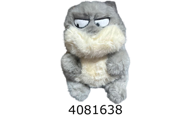 Кіт Букі сірий