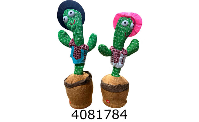 Танцюючий кактус укр/англ (100) №O5