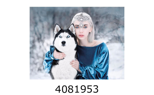 Алмазна мозаїка 40*50 люди 