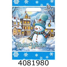 Пакет 22*30 см Новий рік Чернишов прорізна ручка (50)