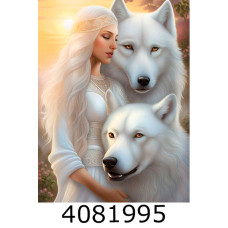 Алмазна мозаїка 40*50 люди 