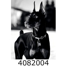 Алмазна мозаїка 40*50 тварини 