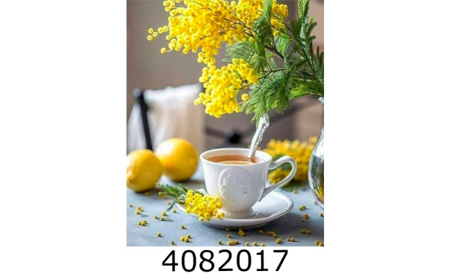 Алмазна мозаїка 40*50 натюрморт 