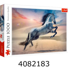 Пазли 1000 ел. Trefl 