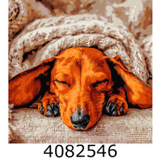 Картина по номерам 40*40см 