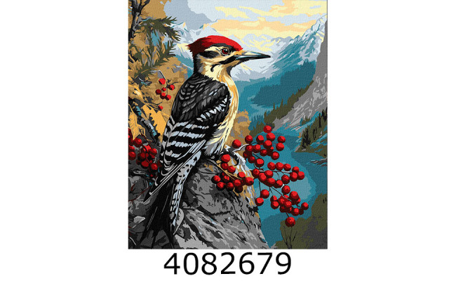 Картина по номерам 40*50см 