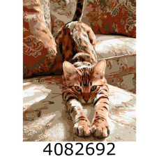 Картина по номерам 40*50см 