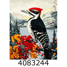 Картина по номерам 40*50см 