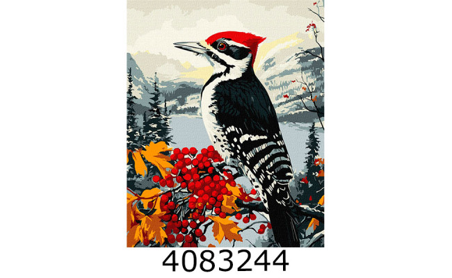 Картина по номерам 40*50см 