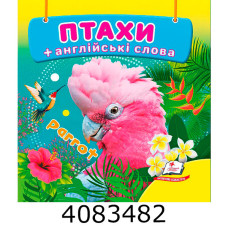 Навколишній світ Птахи + англ. слова Пегас